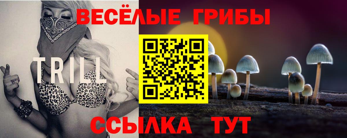 Уссурийск  Галлюциногенные грибы мицелий  Вход с VPN 